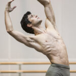 ROBERTO BOLLE