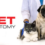 PET ANATOMY FOTO