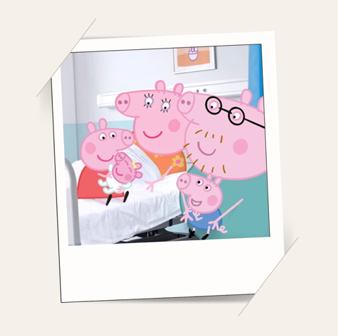 PIG